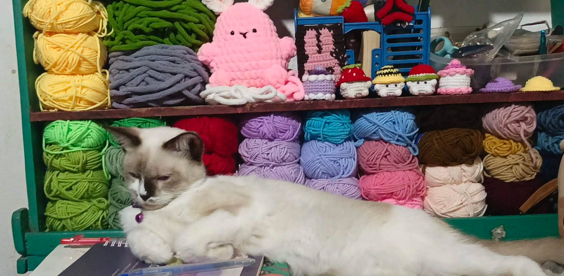 Crochet